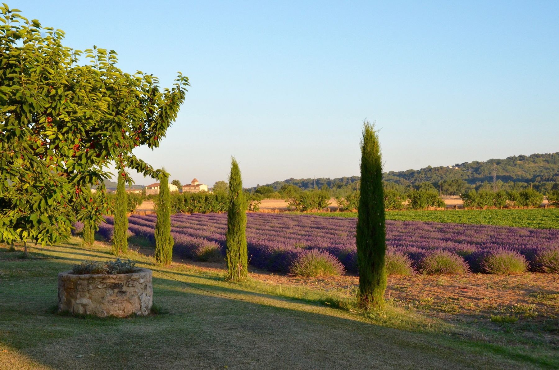 Le Mas des Lavandins villa photo.